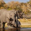namibie-destination-encore-peu-connue-faire-safaris