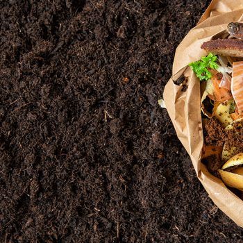 comment-bien-choisir-composteur-pour-jardin