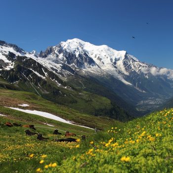 réussir un trek du Tour du Mont Blanc