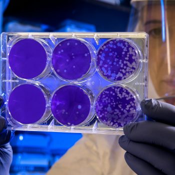 regeneration des cellules